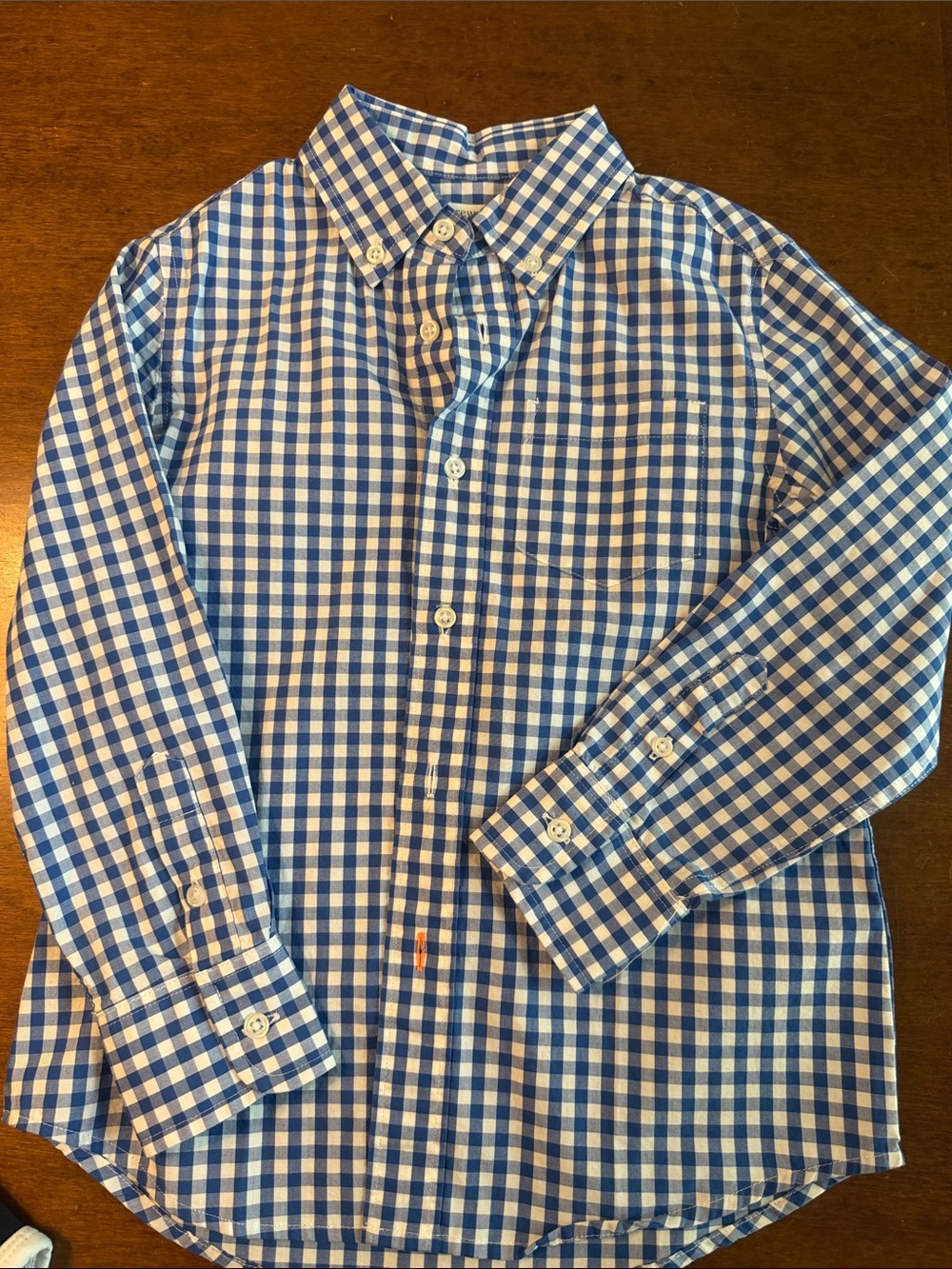 Crewcuts Blue and White Gingham Button-Down Shirt